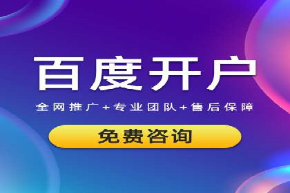 行业标杆的SEM竞价营销案例研究
